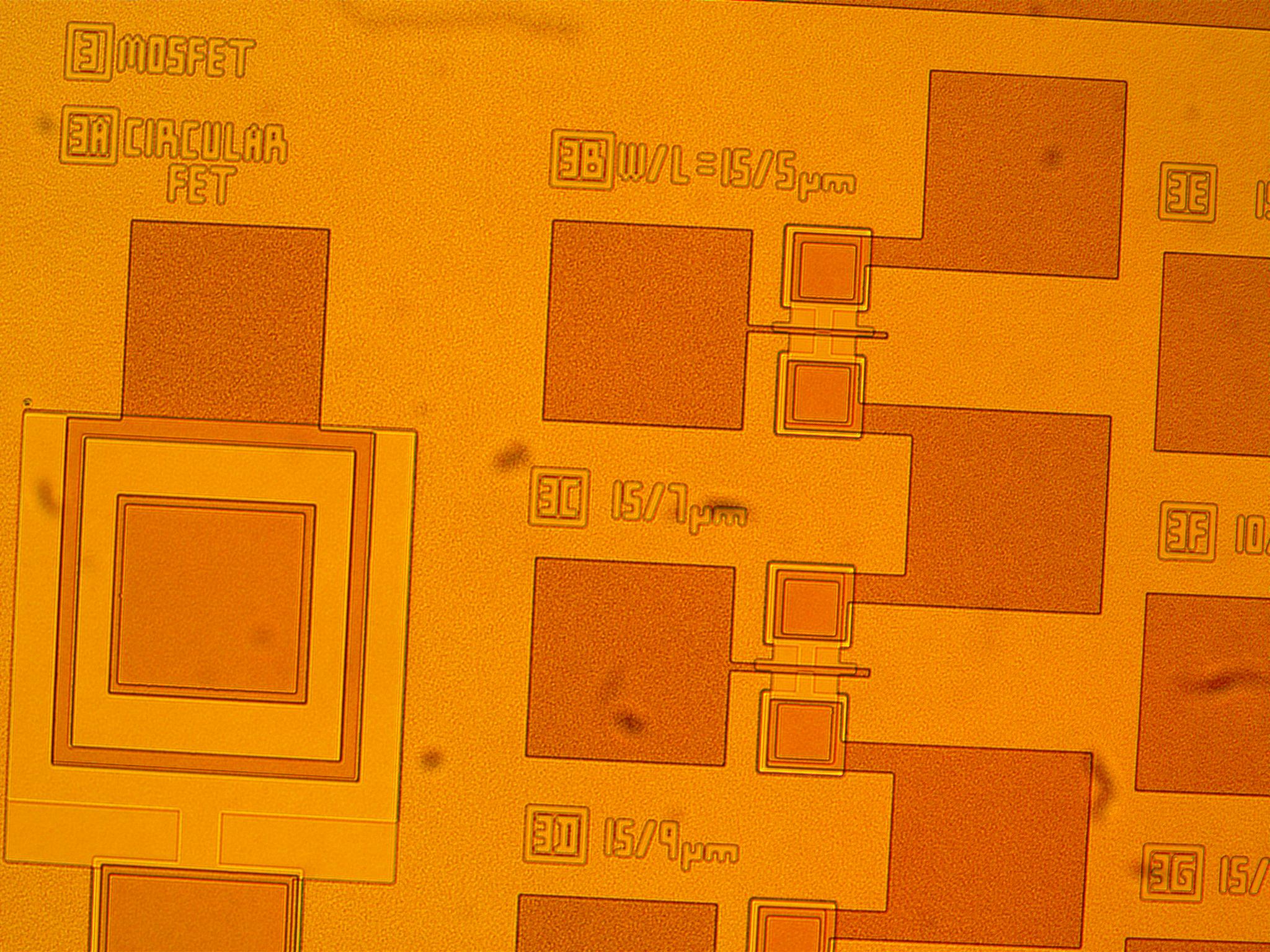 transistor wafer being analyzed