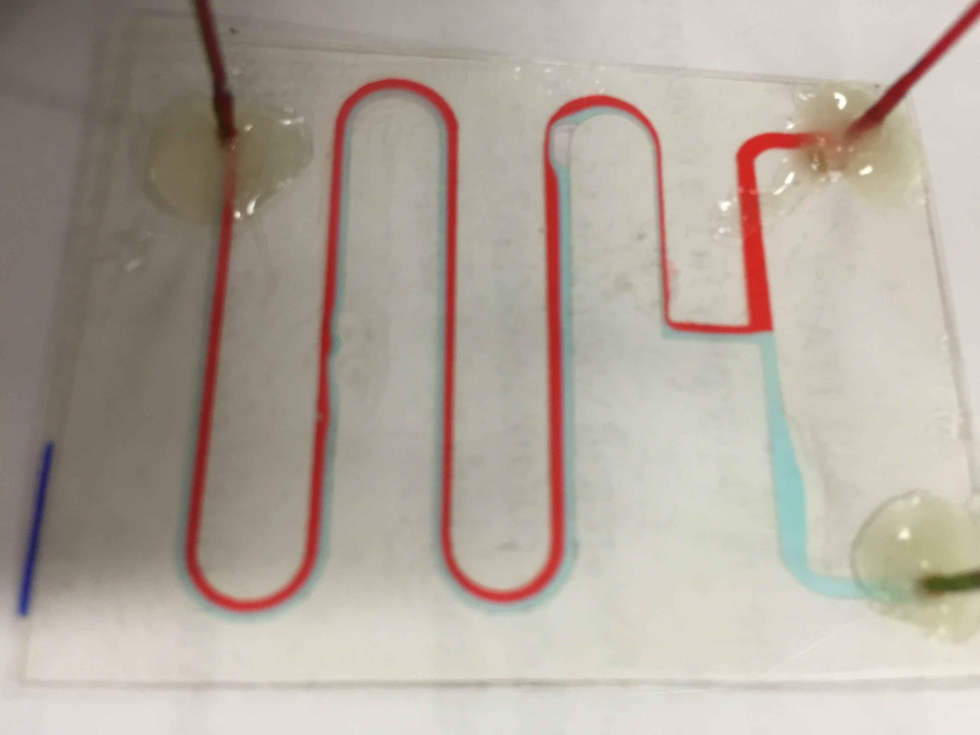 microfluid testing microfluid testing